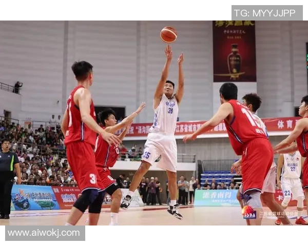 南京篮球队的个人能力深度解析与精彩表现全景展示