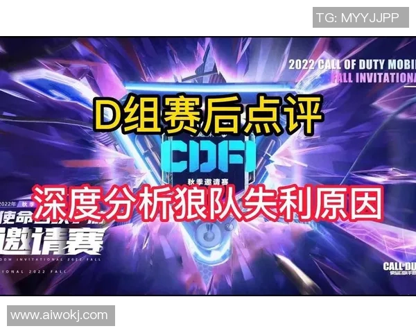 北京排球队在精英赛中的团队协作表现分析与点评